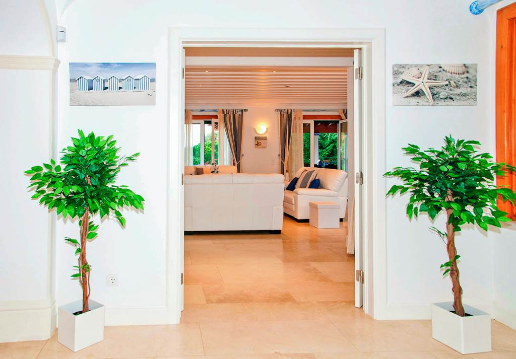 FAO_83972_Villa_Aksia_0722_08