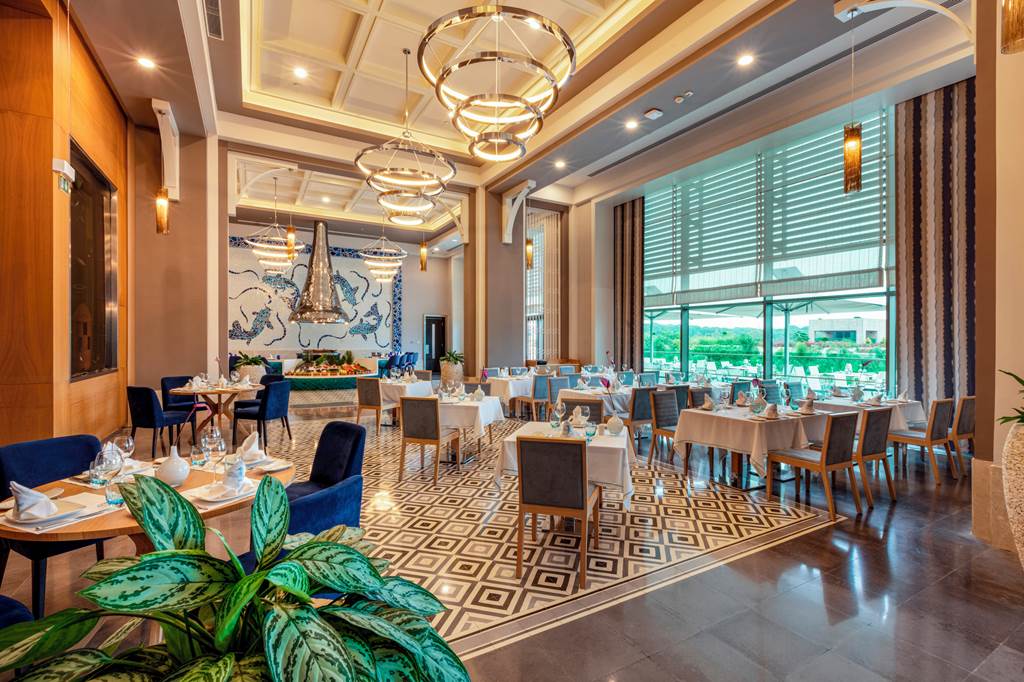 AYT_81482_Regnum_Carya_1121_53