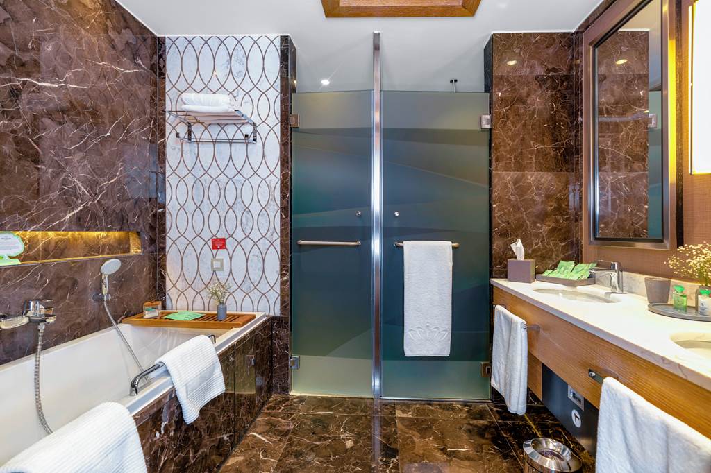 AYT_81482_Regnum_Carya_1121_88