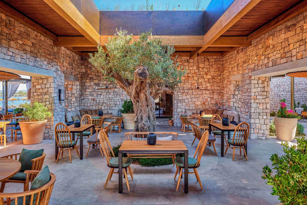 KLX_85207_W_Costa_Navarino_0323_25