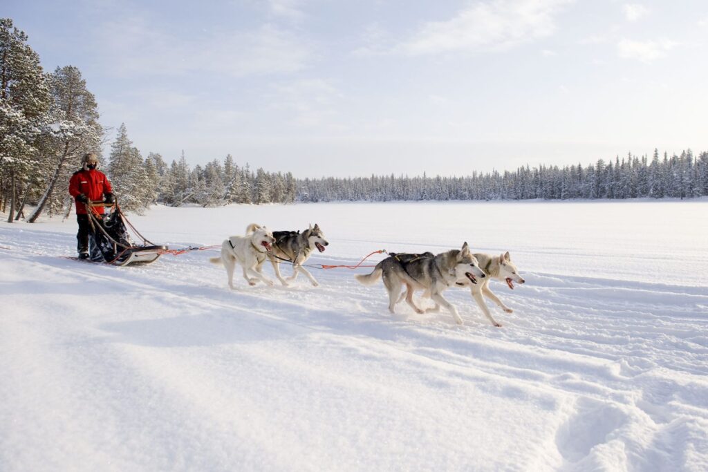 Lapland Holidays